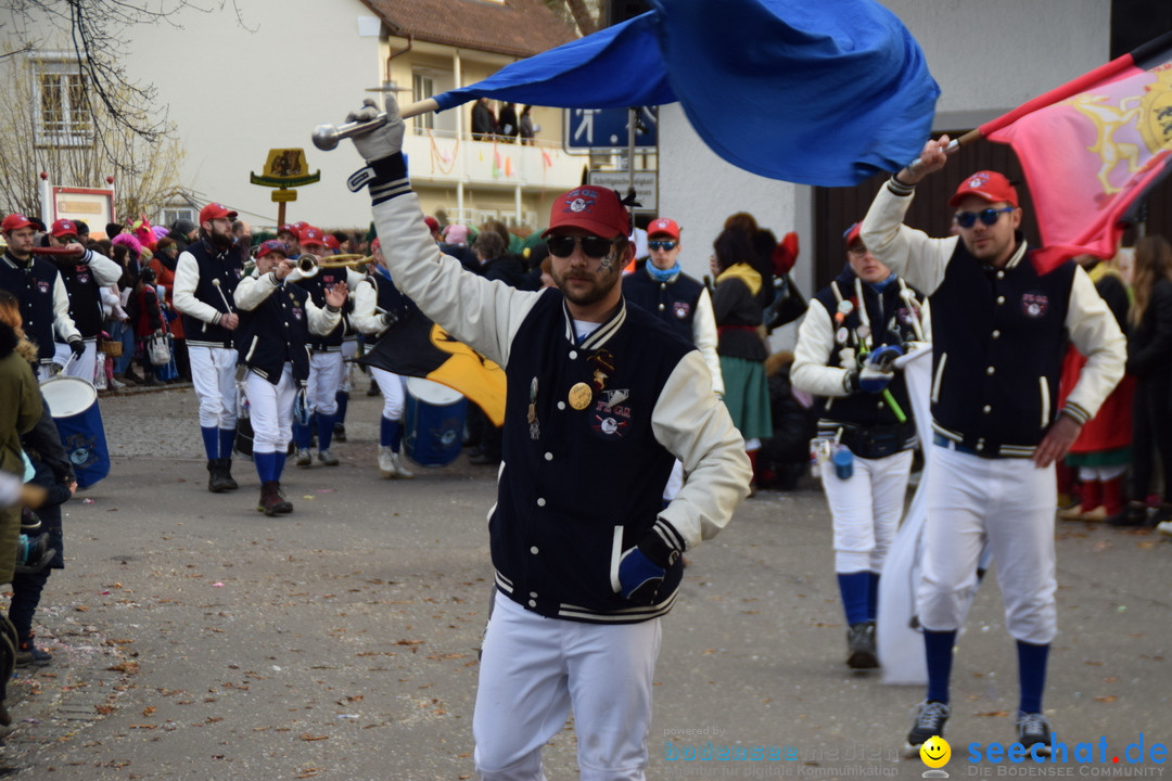 Grosser Narrensprung: Langenargen am Bodensee, 19.01.2020