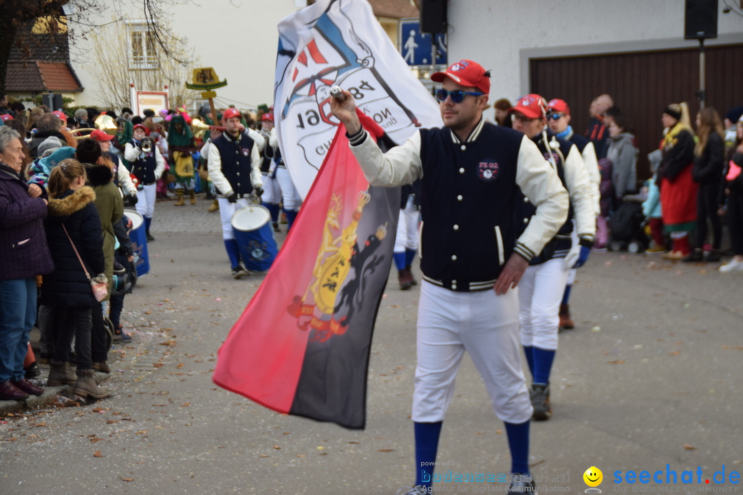 Grosser Narrensprung: Langenargen am Bodensee, 19.01.2020