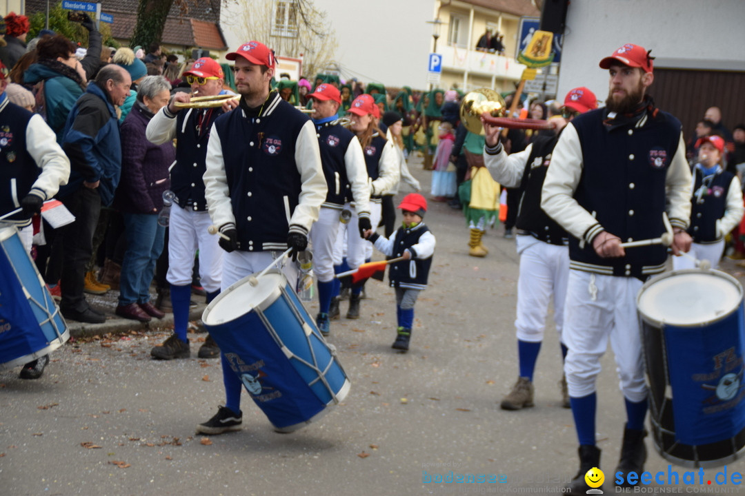 Grosser Narrensprung: Langenargen am Bodensee, 19.01.2020