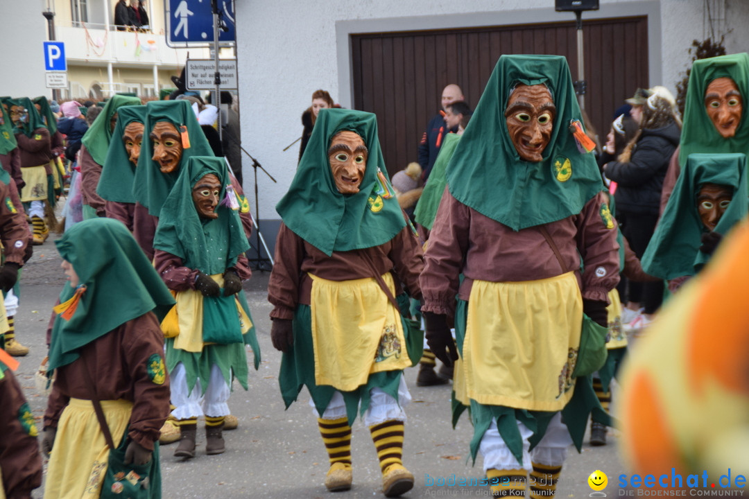 Grosser Narrensprung: Langenargen am Bodensee, 19.01.2020