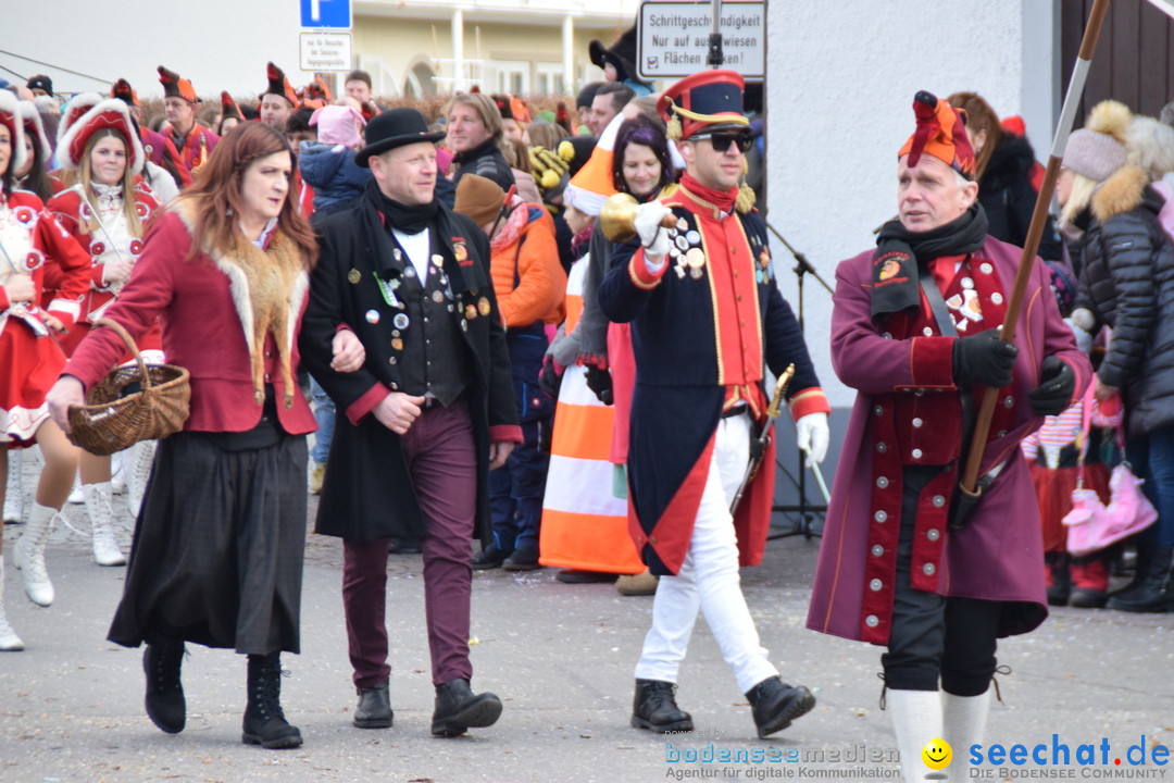 Grosser Narrensprung: Langenargen am Bodensee, 19.01.2020