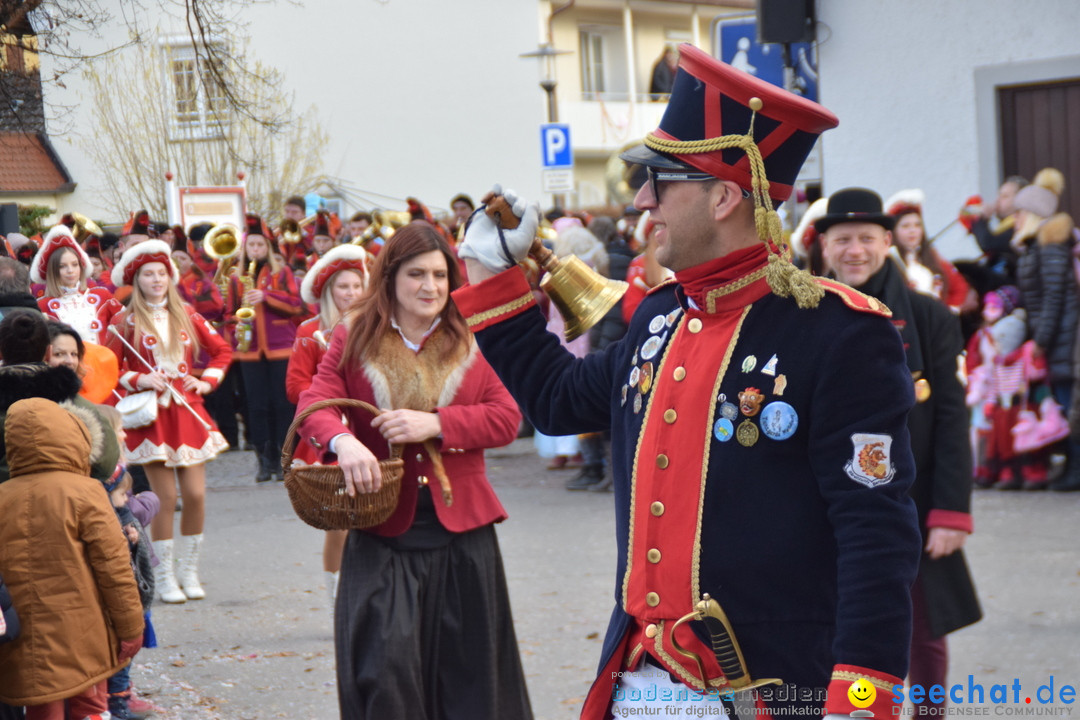 Grosser Narrensprung: Langenargen am Bodensee, 19.01.2020