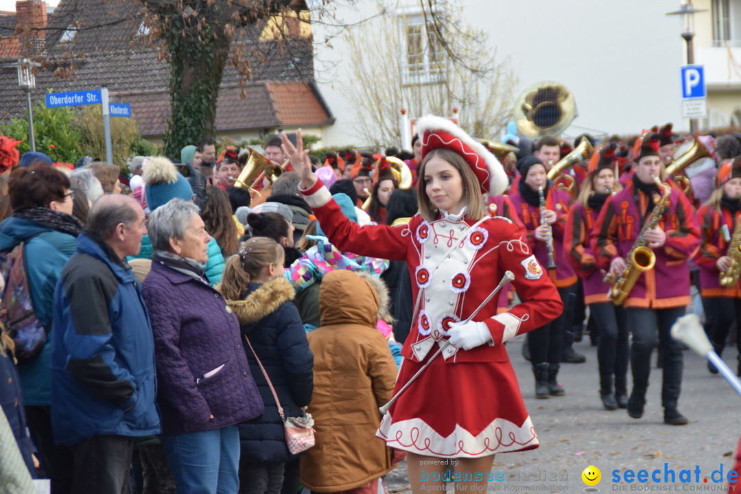 Grosser Narrensprung: Langenargen am Bodensee, 19.01.2020