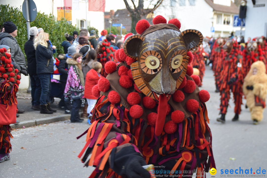 Grosser Narrensprung: Langenargen am Bodensee, 19.01.2020