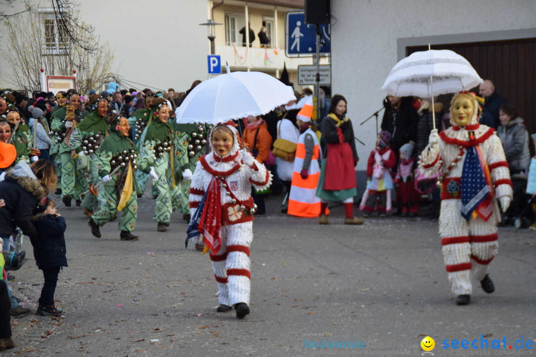 Grosser Narrensprung: Langenargen am Bodensee, 19.01.2020