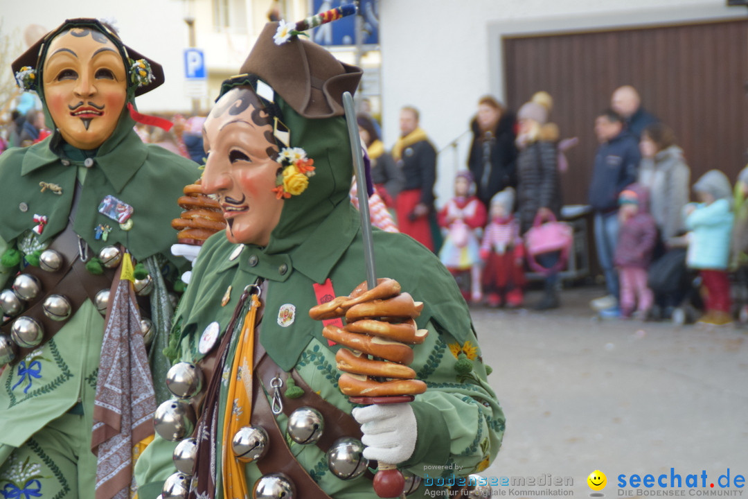 Grosser Narrensprung: Langenargen am Bodensee, 19.01.2020