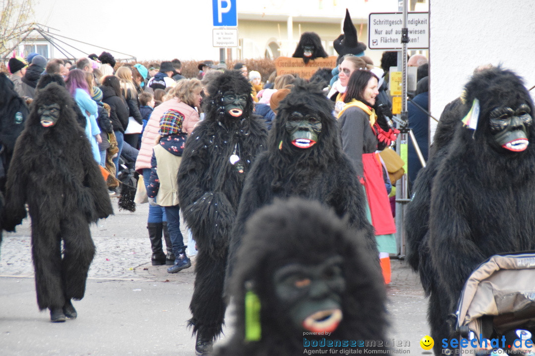 Grosser Narrensprung: Langenargen am Bodensee, 19.01.2020