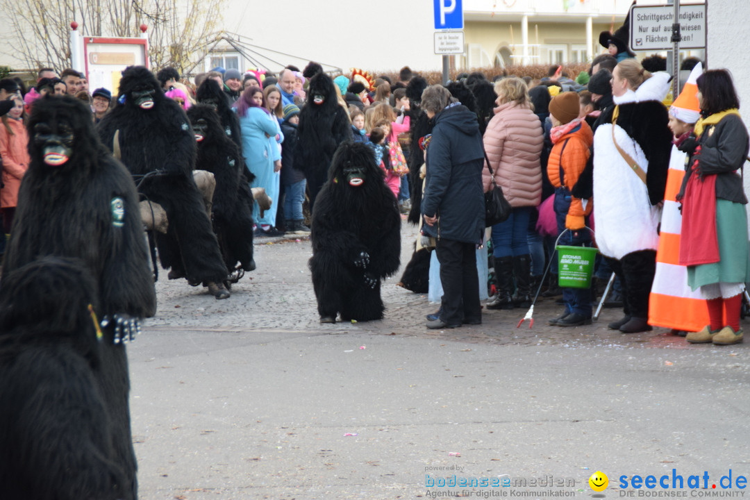 Grosser Narrensprung: Langenargen am Bodensee, 19.01.2020