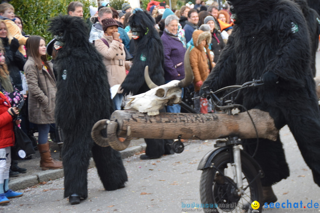 Grosser Narrensprung: Langenargen am Bodensee, 19.01.2020