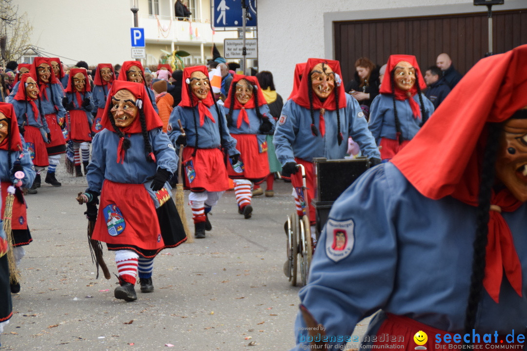 Grosser Narrensprung: Langenargen am Bodensee, 19.01.2020