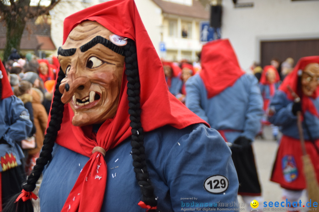 Grosser Narrensprung: Langenargen am Bodensee, 19.01.2020