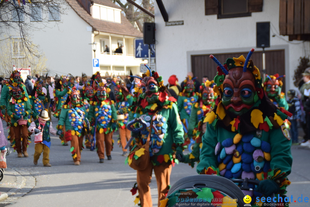 Grosser Narrensprung: Langenargen am Bodensee, 19.01.2020