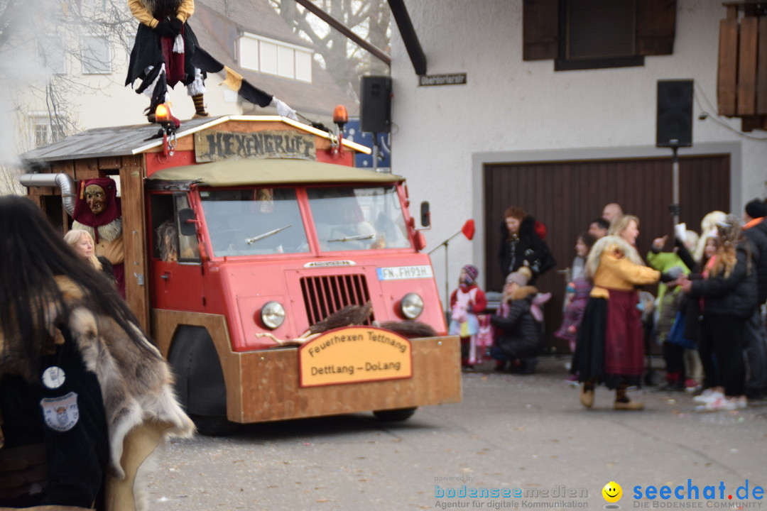 Grosser Narrensprung: Langenargen am Bodensee, 19.01.2020