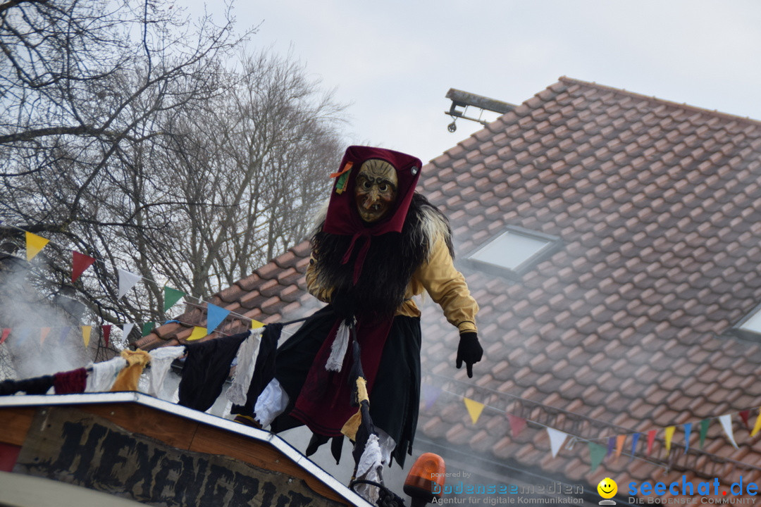 Grosser Narrensprung: Langenargen am Bodensee, 19.01.2020