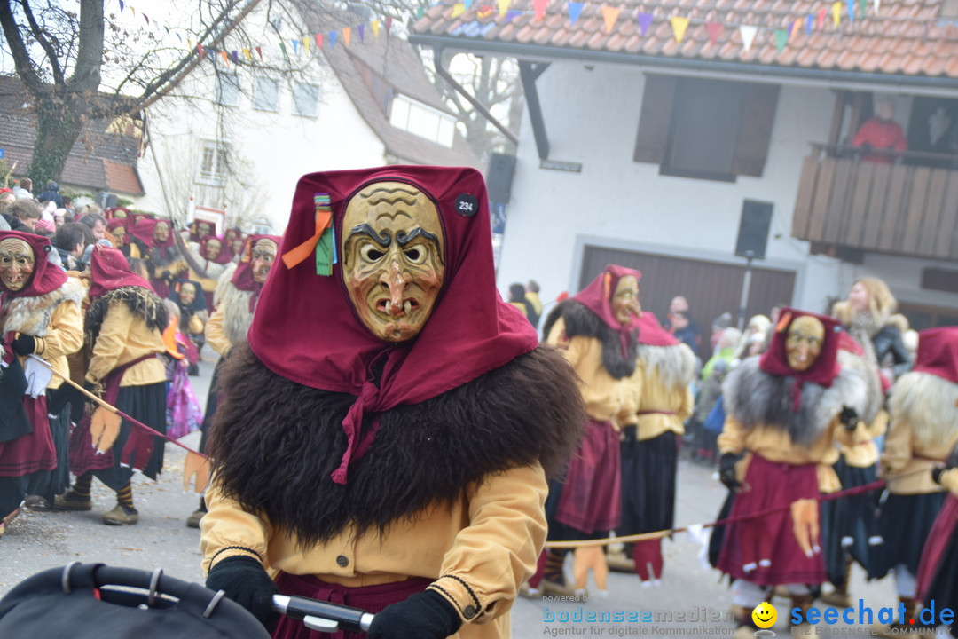 Grosser Narrensprung: Langenargen am Bodensee, 19.01.2020