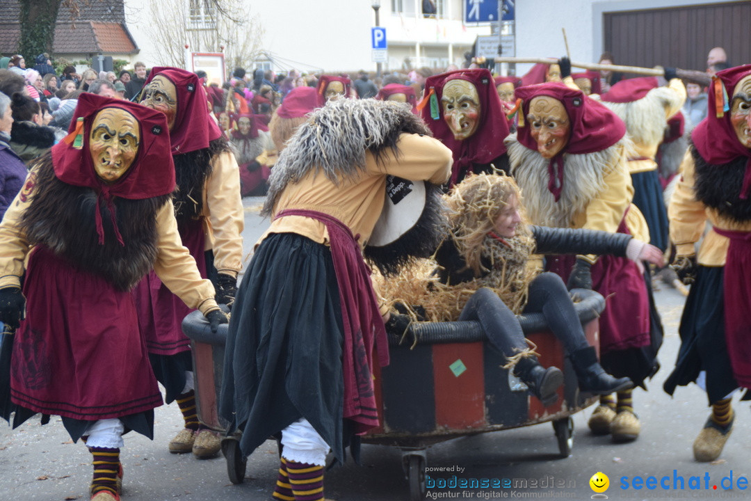 Grosser Narrensprung: Langenargen am Bodensee, 19.01.2020