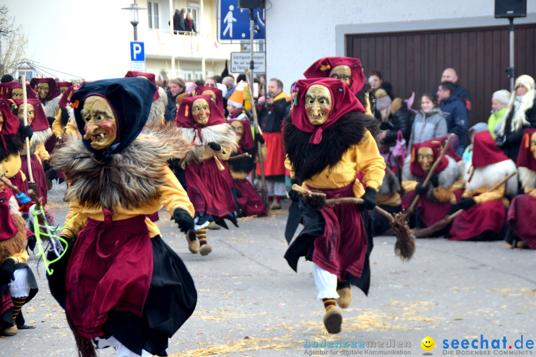 Grosser Narrensprung: Langenargen am Bodensee, 19.01.2020