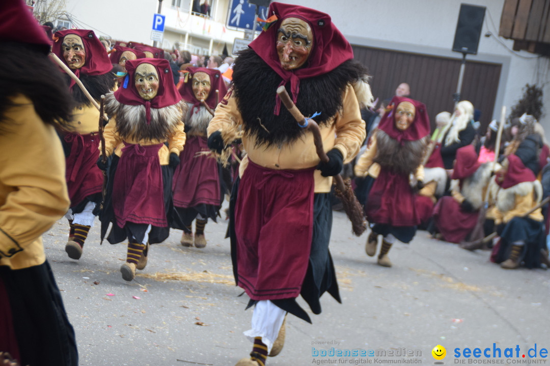 Grosser Narrensprung: Langenargen am Bodensee, 19.01.2020