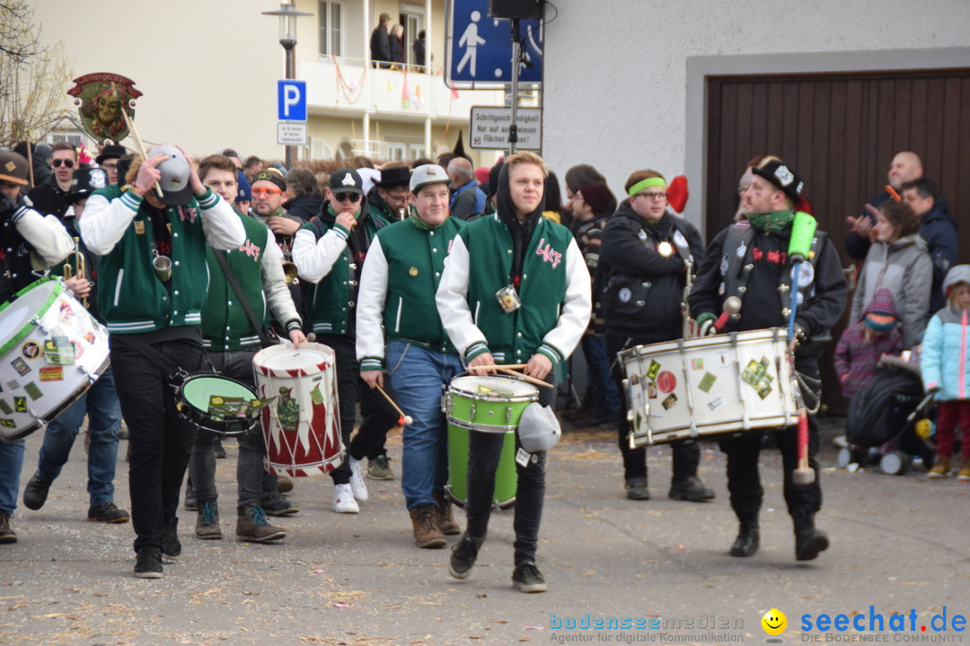 Grosser Narrensprung: Langenargen am Bodensee, 19.01.2020