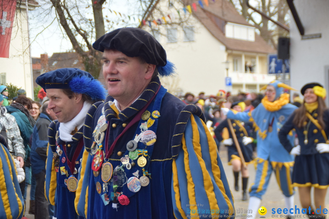 Grosser Narrensprung: Langenargen am Bodensee, 19.01.2020