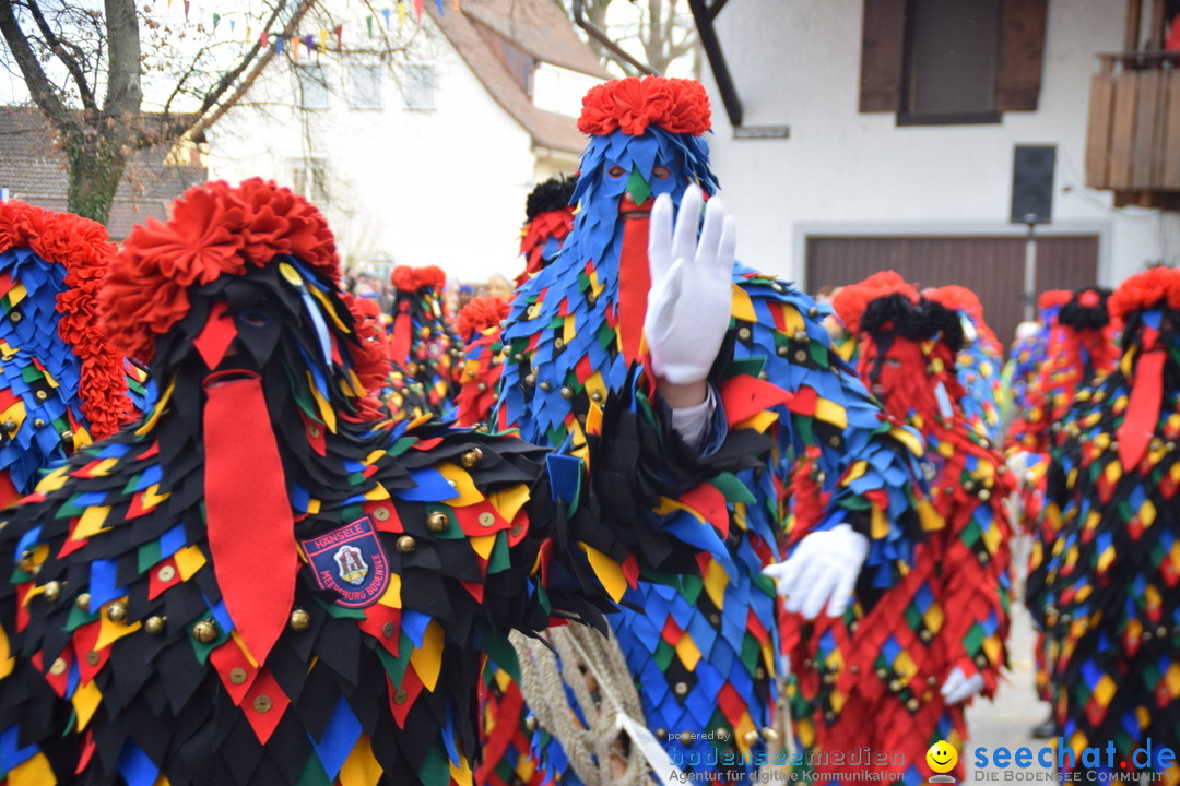 Grosser Narrensprung: Langenargen am Bodensee, 19.01.2020