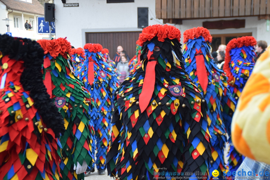 Grosser Narrensprung: Langenargen am Bodensee, 19.01.2020