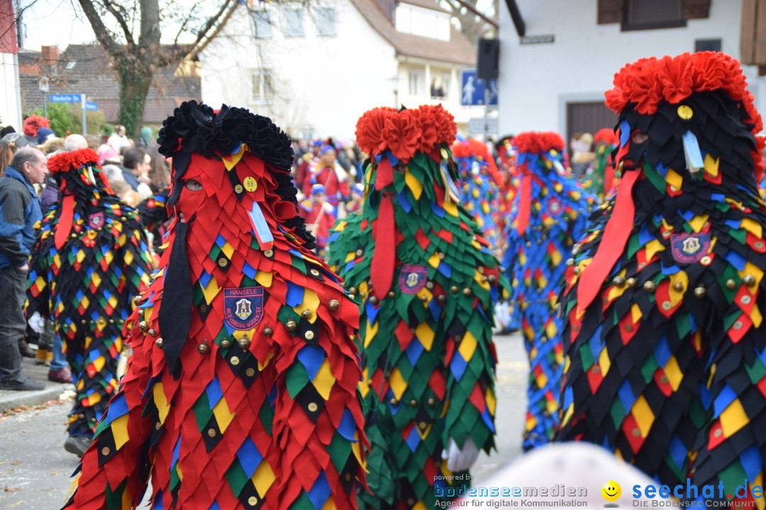 Grosser Narrensprung: Langenargen am Bodensee, 19.01.2020