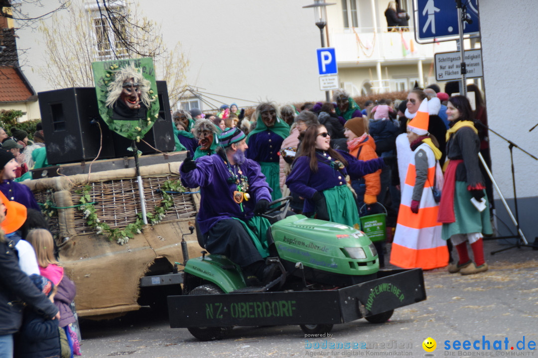 Grosser Narrensprung: Langenargen am Bodensee, 19.01.2020