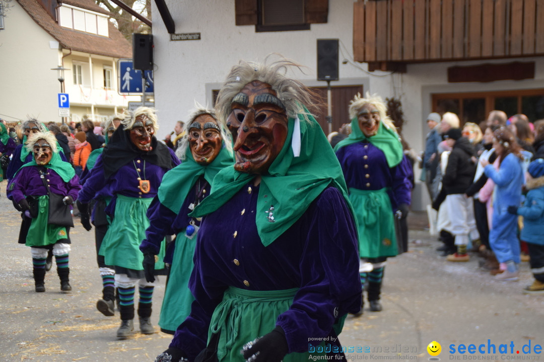 Grosser Narrensprung: Langenargen am Bodensee, 19.01.2020