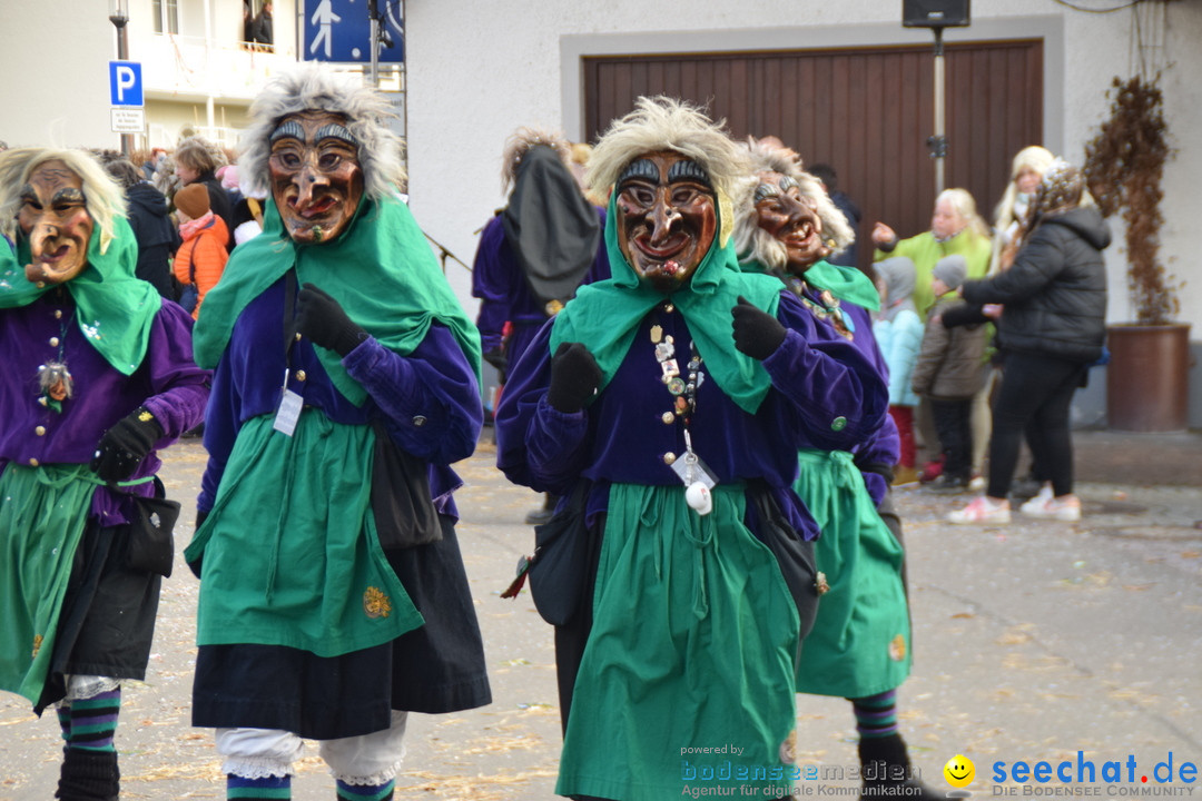 Grosser Narrensprung: Langenargen am Bodensee, 19.01.2020