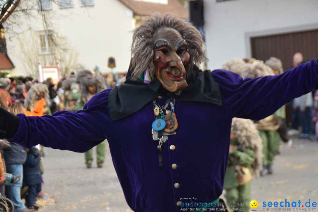 Grosser Narrensprung: Langenargen am Bodensee, 19.01.2020