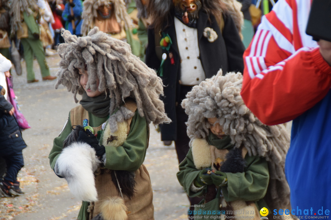 Grosser Narrensprung: Langenargen am Bodensee, 19.01.2020