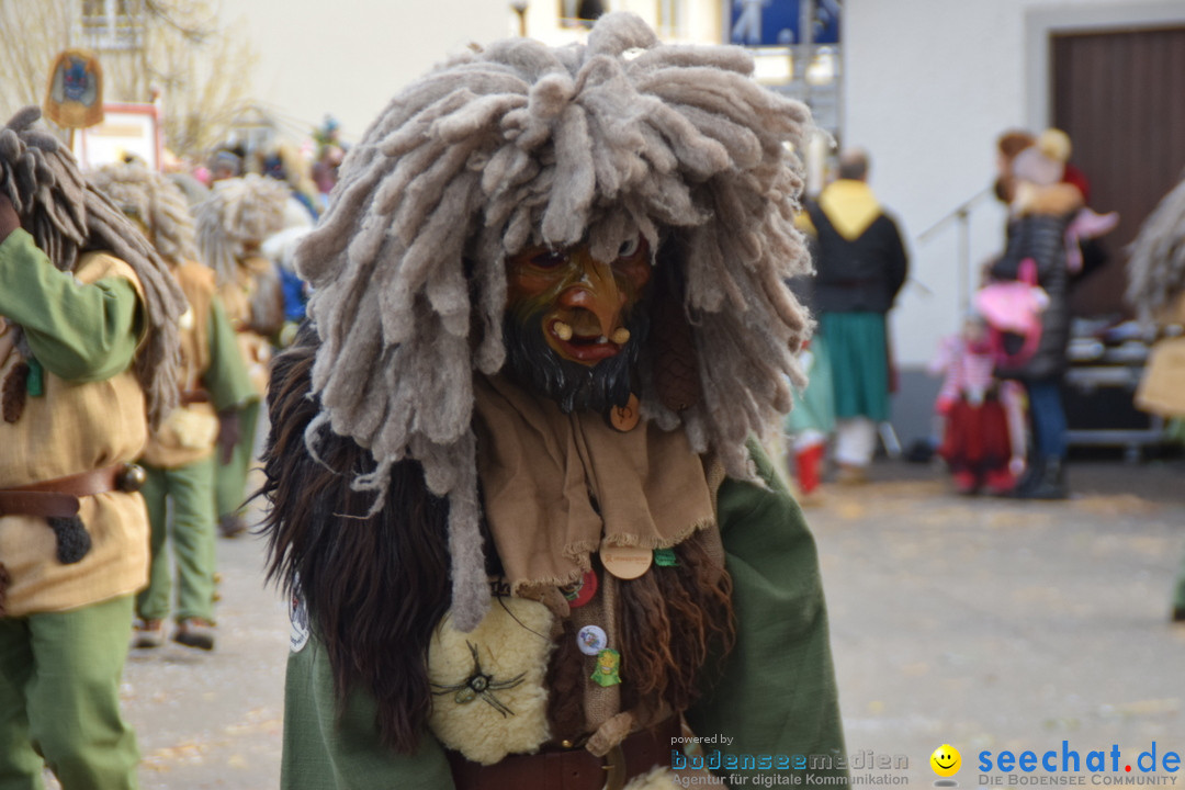 Grosser Narrensprung: Langenargen am Bodensee, 19.01.2020