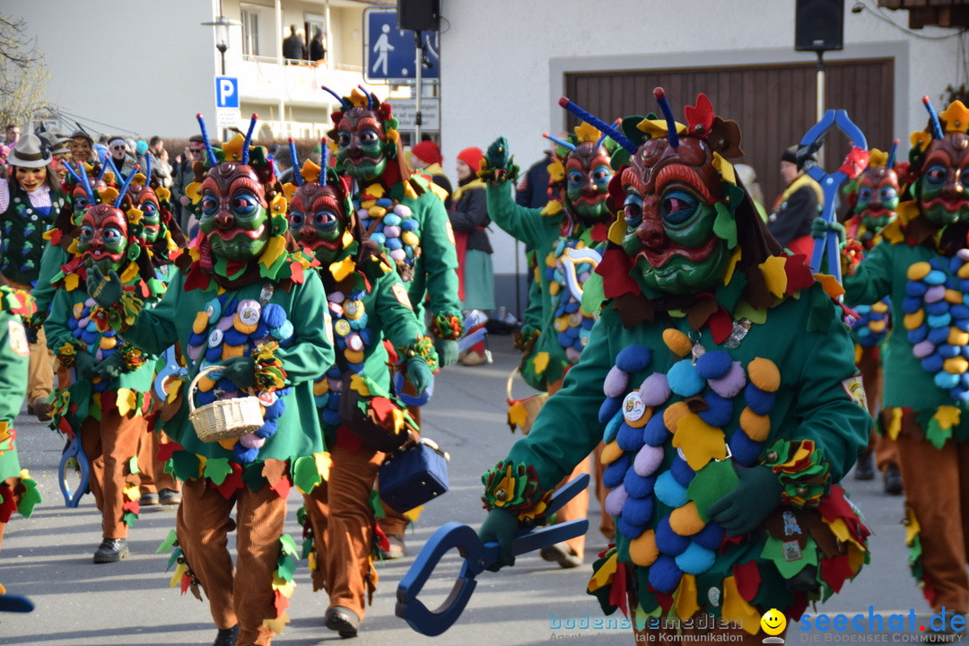 Grosser Narrensprung: Langenargen am Bodensee, 19.01.2020