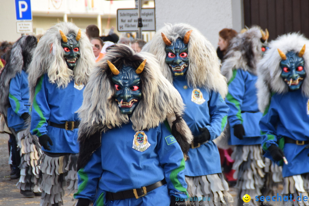 Grosser Narrensprung: Langenargen am Bodensee, 19.01.2020