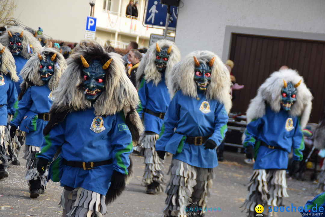 Grosser Narrensprung: Langenargen am Bodensee, 19.01.2020