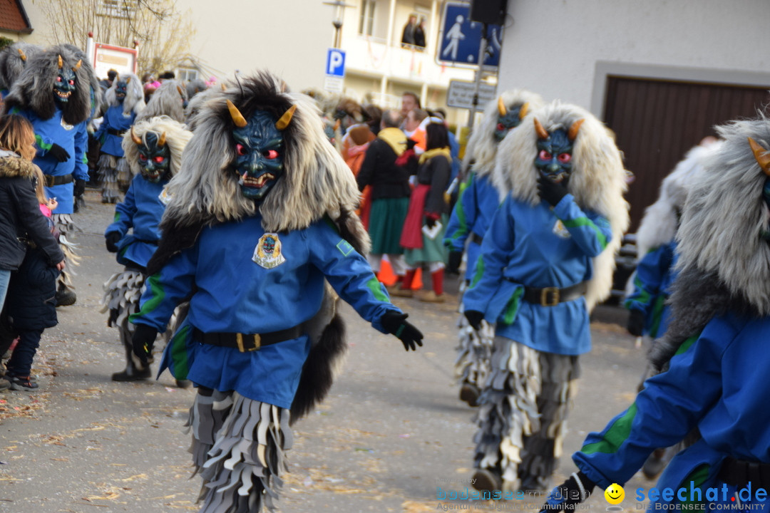 Grosser Narrensprung: Langenargen am Bodensee, 19.01.2020