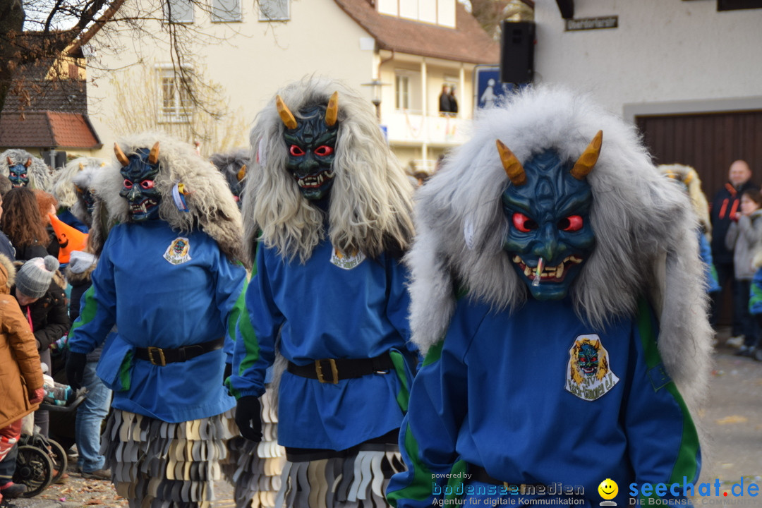 Grosser Narrensprung: Langenargen am Bodensee, 19.01.2020