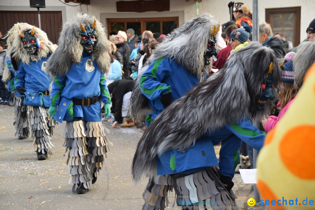 Grosser Narrensprung: Langenargen am Bodensee, 19.01.2020