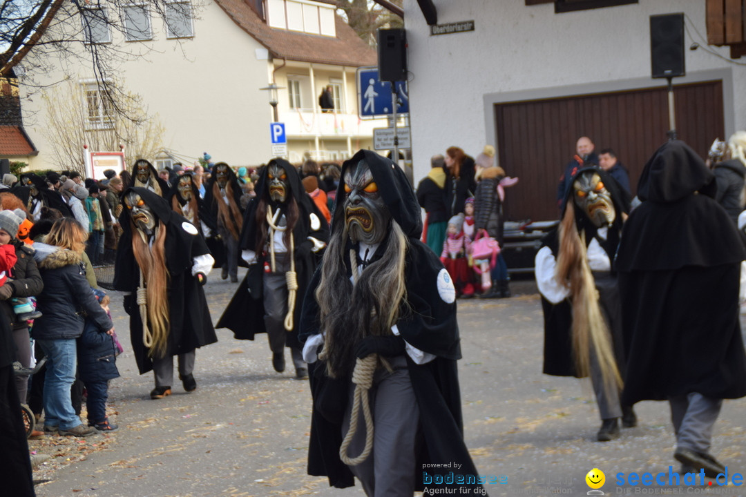 Grosser Narrensprung: Langenargen am Bodensee, 19.01.2020