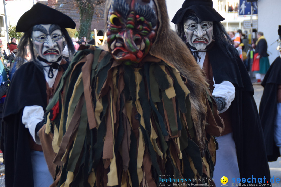 Grosser Narrensprung: Langenargen am Bodensee, 19.01.2020