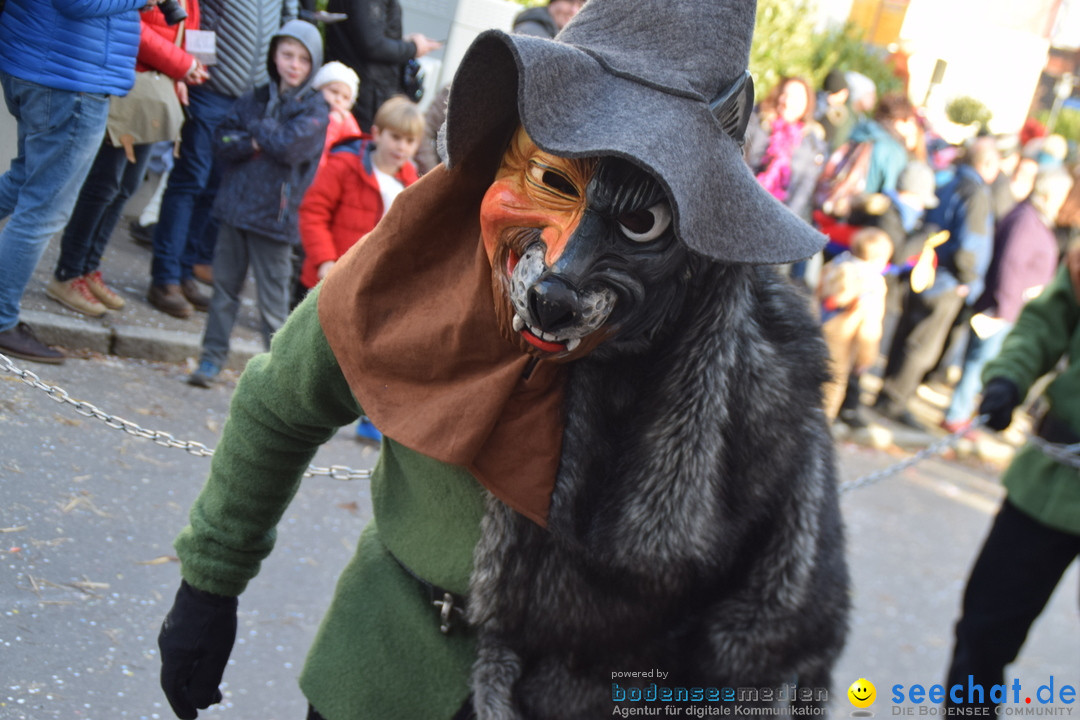 Grosser Narrensprung: Langenargen am Bodensee, 19.01.2020