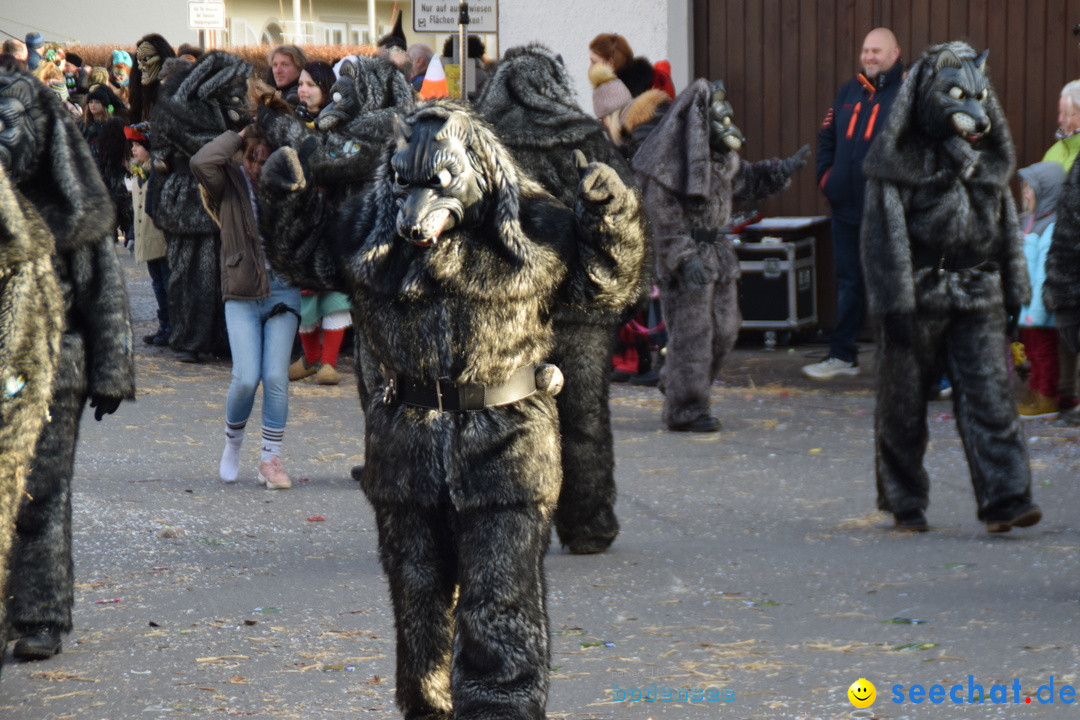 Grosser Narrensprung: Langenargen am Bodensee, 19.01.2020