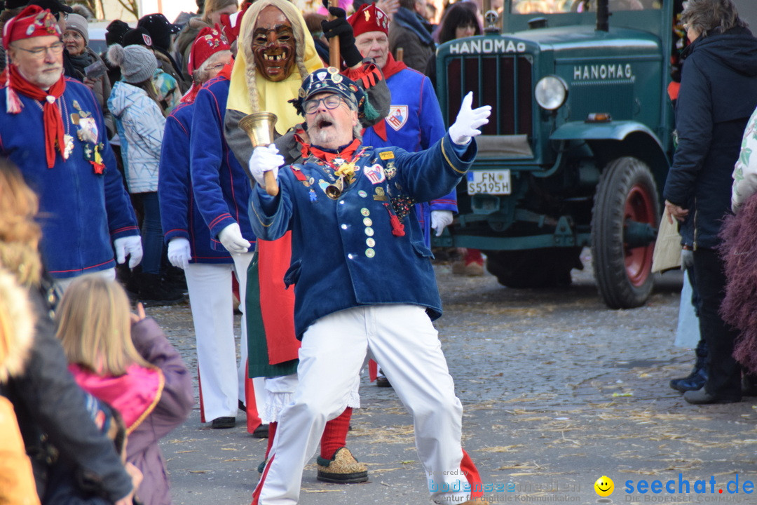 Grosser Narrensprung: Langenargen am Bodensee, 19.01.2020