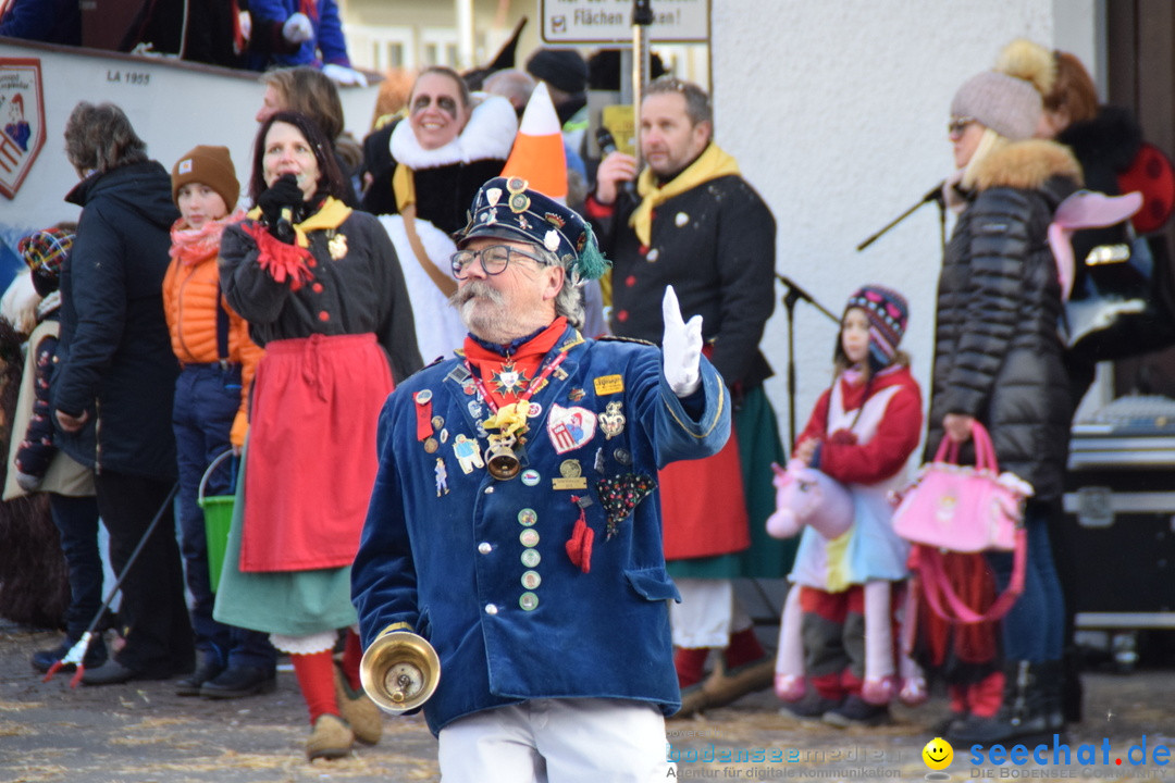 Grosser Narrensprung: Langenargen am Bodensee, 19.01.2020