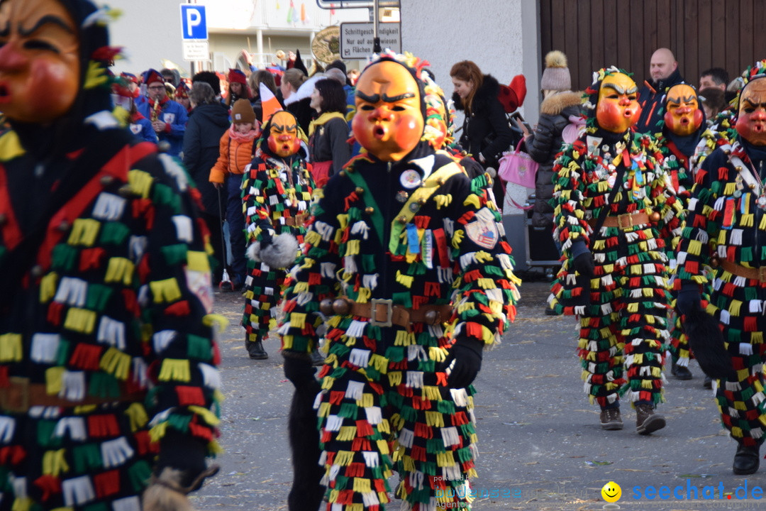 Grosser Narrensprung: Langenargen am Bodensee, 19.01.2020