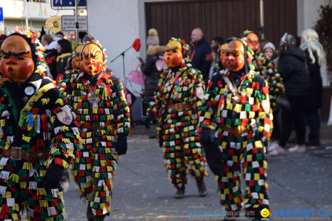 Grosser Narrensprung: Langenargen am Bodensee, 19.01.2020