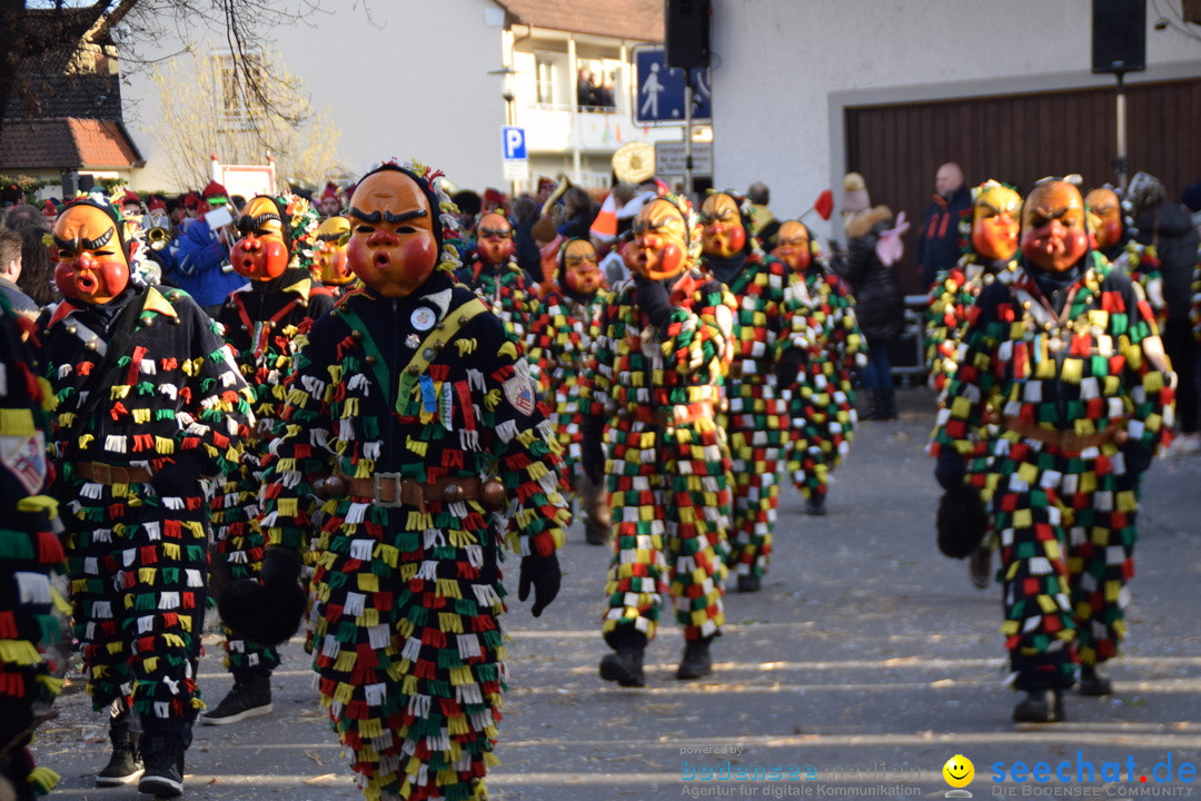 Grosser Narrensprung: Langenargen am Bodensee, 19.01.2020