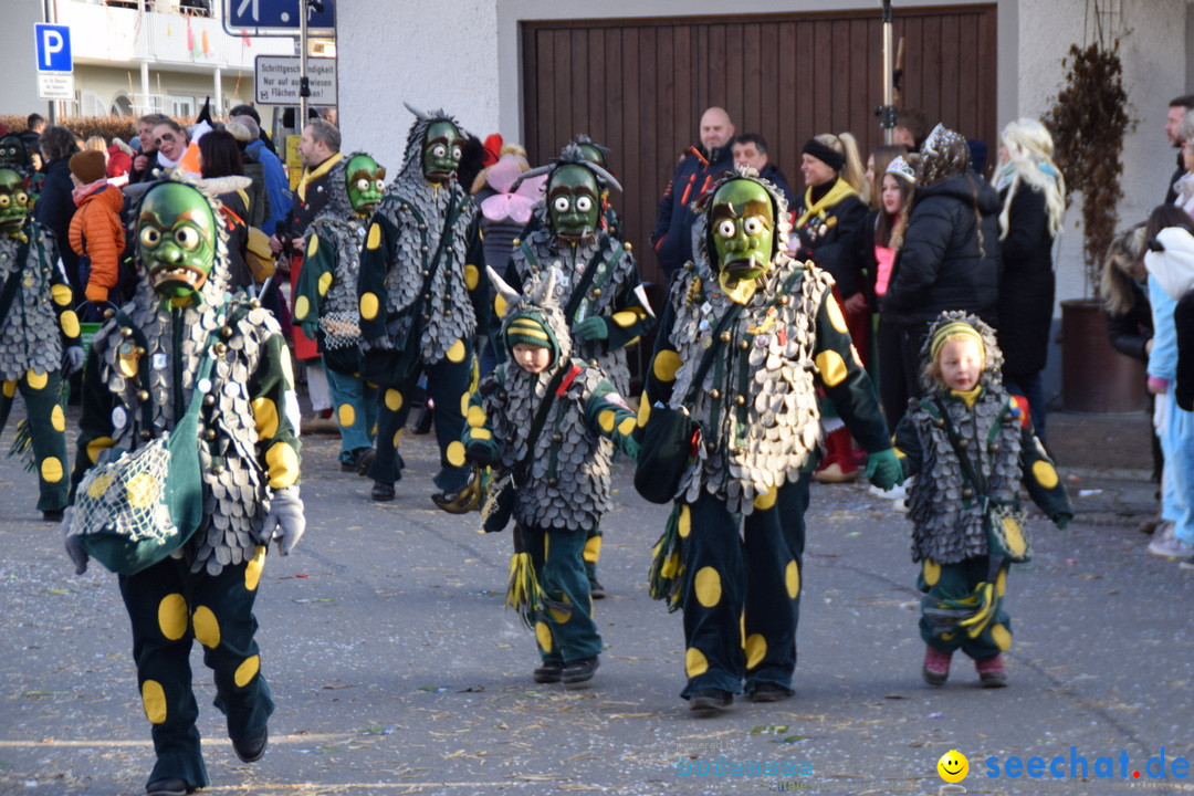 Grosser Narrensprung: Langenargen am Bodensee, 19.01.2020