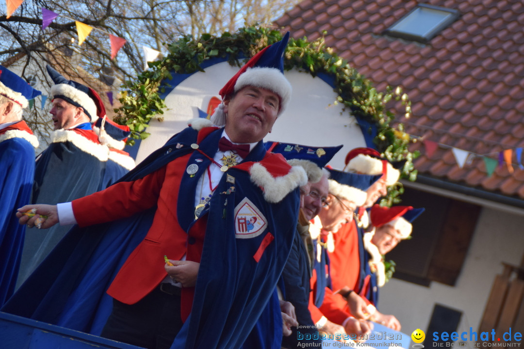 Grosser Narrensprung: Langenargen am Bodensee, 19.01.2020